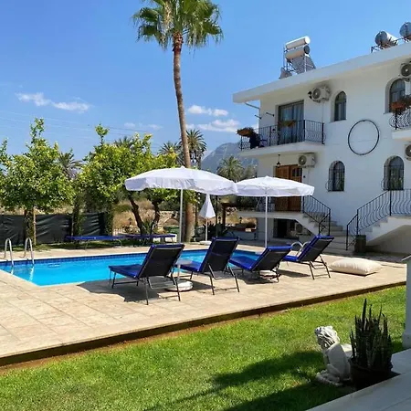 Case de vacanță Holiday Homes